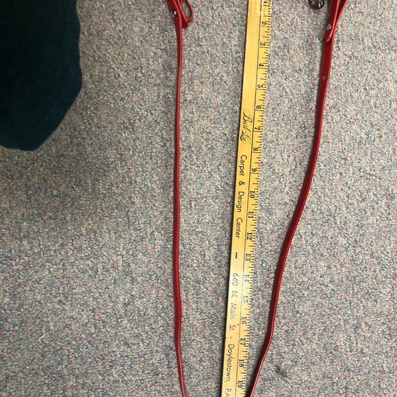 Longchamp Scarlet Crossbody Bag - Picture 10 of 11